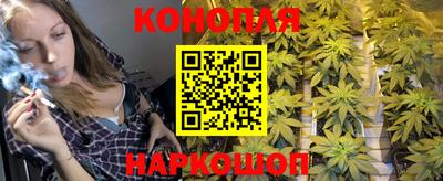 мяу мяу мука Будённовск