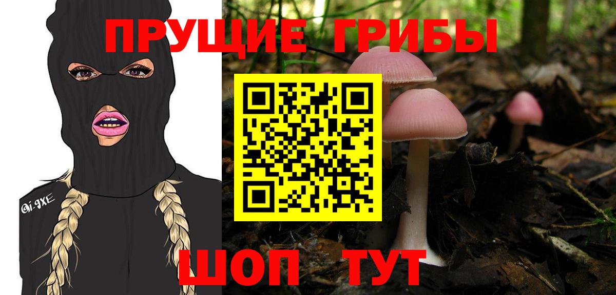 Псилоцибиновые грибы GOLDEN TEACHER Вольск